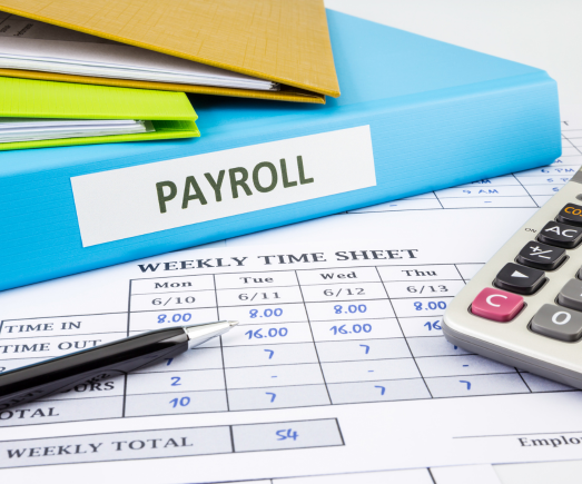 Payroll Service for Coaches
