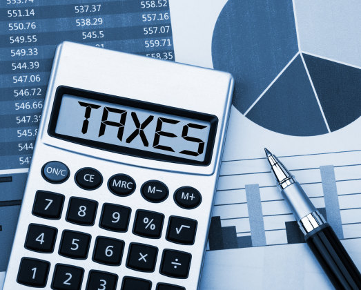 State Tax Return Filling Service
